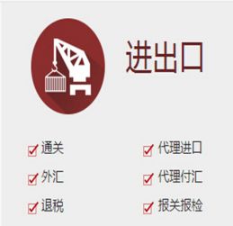 携手天狼网gd188.cn 一流的商务服务与进出口代理，开启全球贸易新篇章